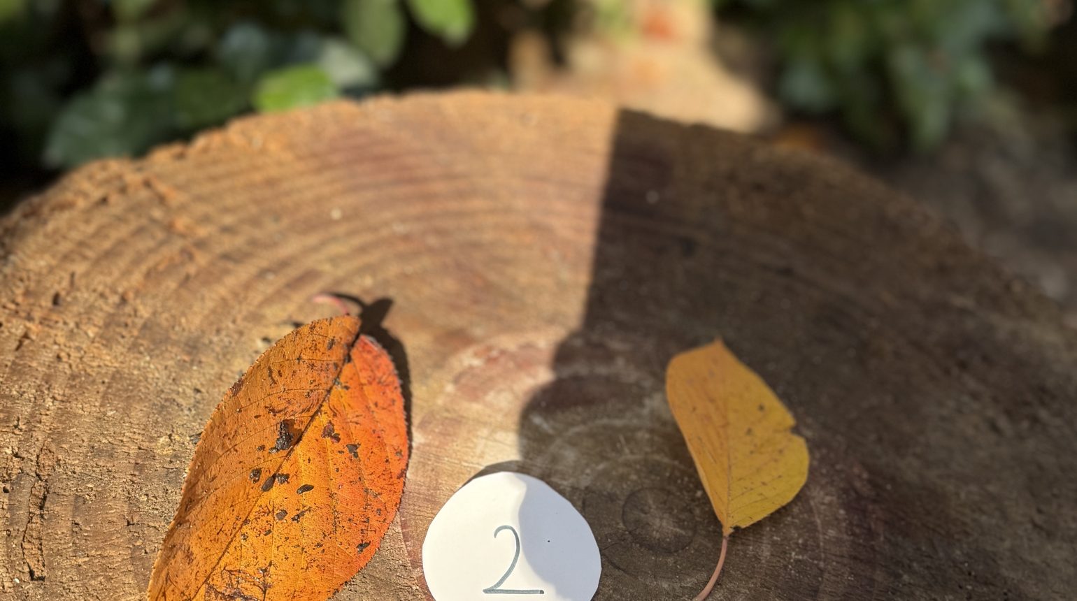 Doğa Temelli Eğitim