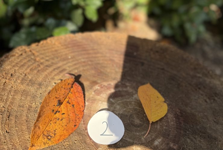 Doğa Temelli Eğitim